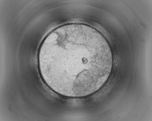 X0000113120950200909181646