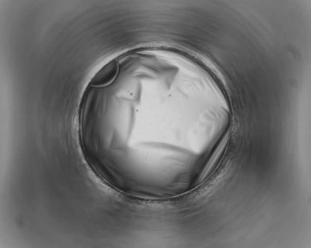 X0000113120951200909181646