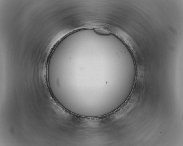 X0000113120952200909181646