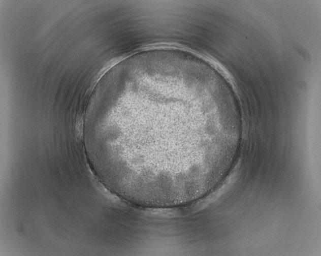 X0000113120953200909181646