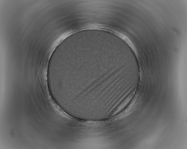 X0000113120954200909181646