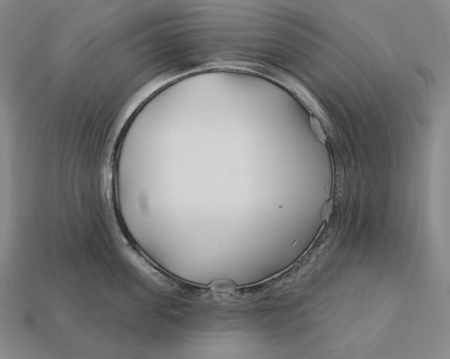 X0000113120955200909181646