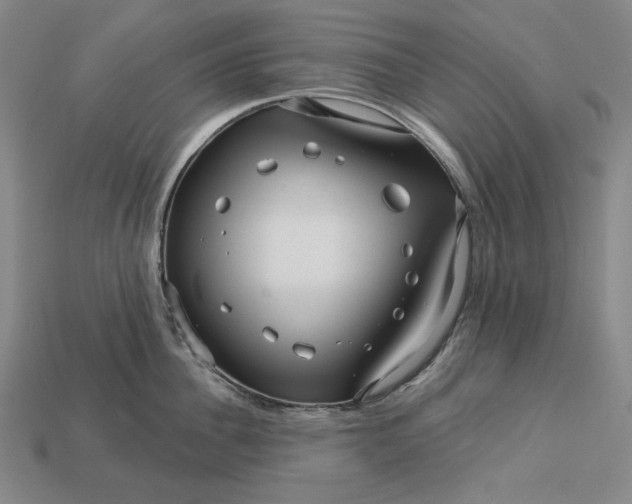 X0000113120956200909181646