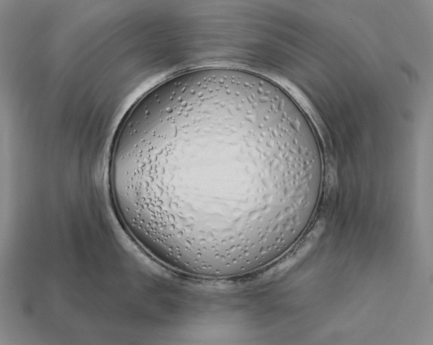 X0000113120957200909181646