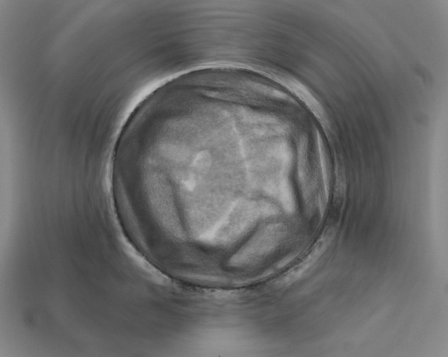 X0000113120958200909181646