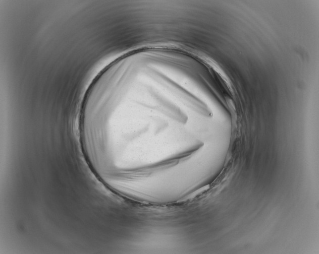 X0000113120959200909181646