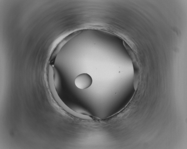 X0000113120960200909181646