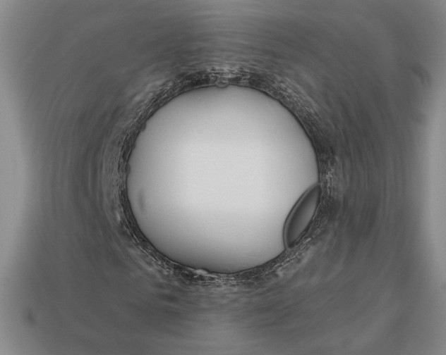 X0000113120961200909181645