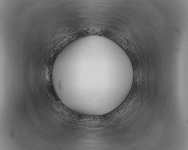 X0000113120962200909181645