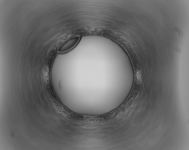 X0000113120963200909181645