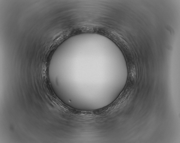 X0000113120964200909181645