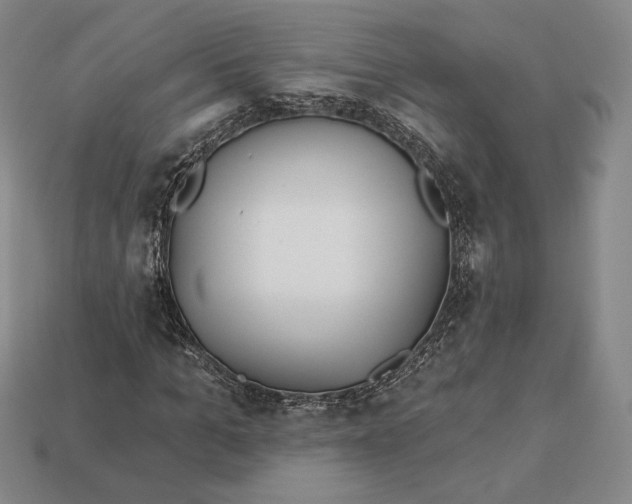 X0000113120965200909181645