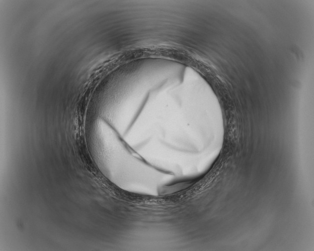 X0000113120966200909181645