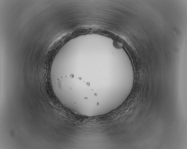 X0000113120967200909181645