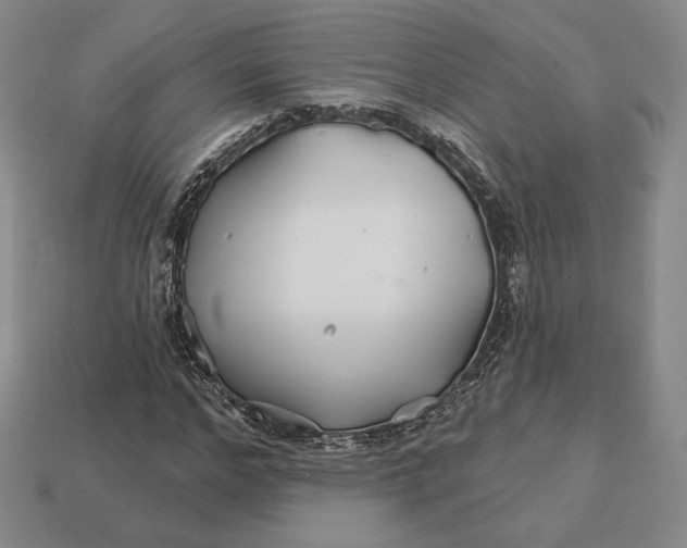 X0000113120968200909181645