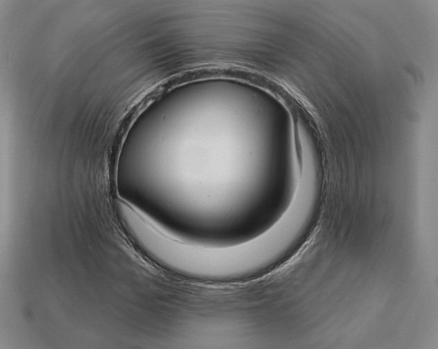 X0000113120969200909181645