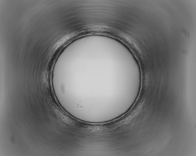 X0000113120970200909181645