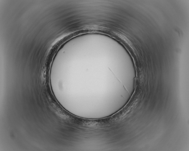 X0000113120971200909181645