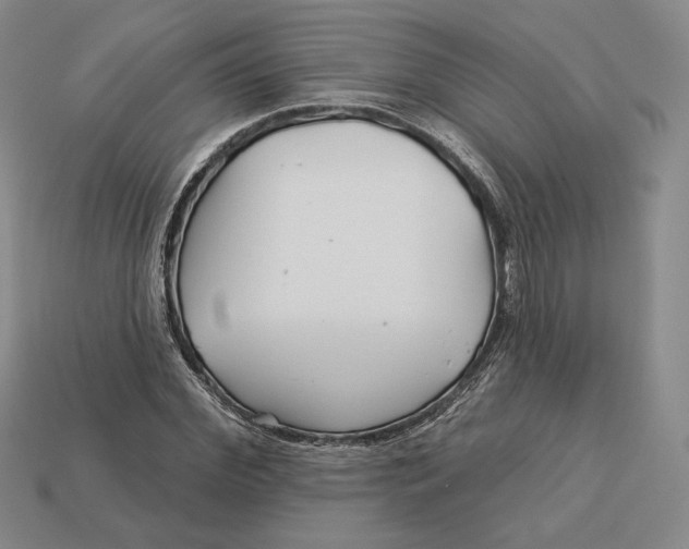 X0000113120972200909181645