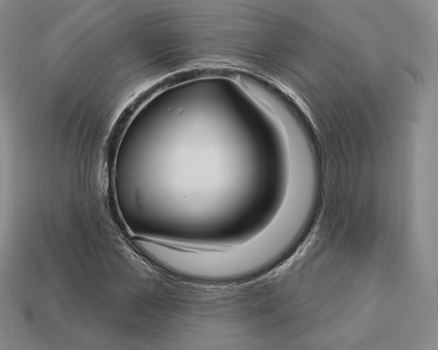 X0000113120973200909181645