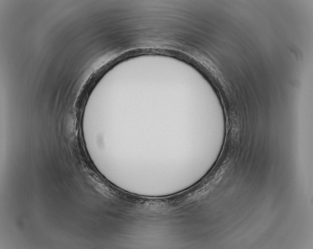 X0000113120974200909181645