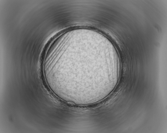 X0000113120975200909181645