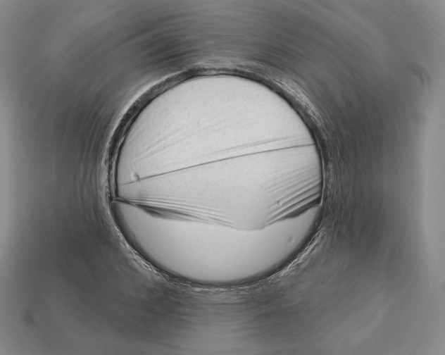 X0000113120976200909181645