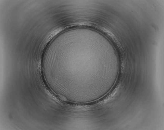 X0000113120977200909181645