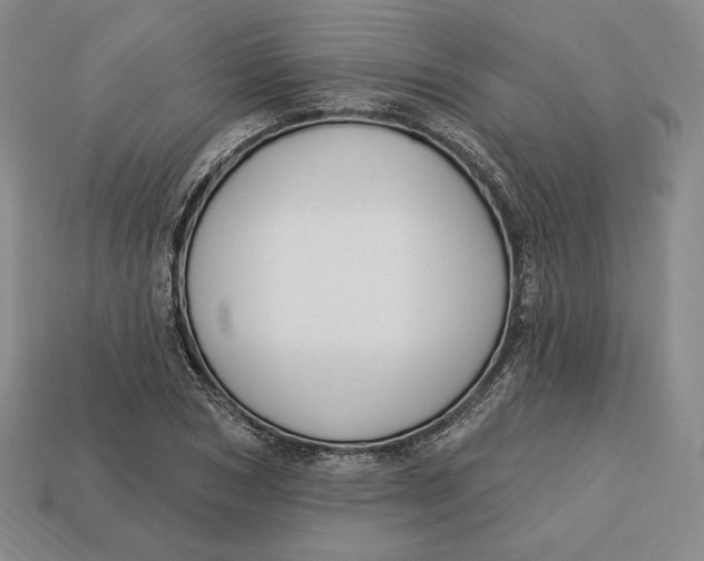 X0000113120978200909181645