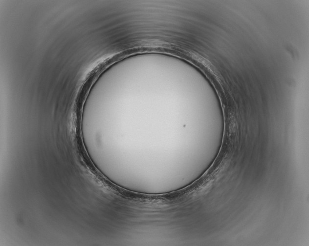 X0000113120979200909181645