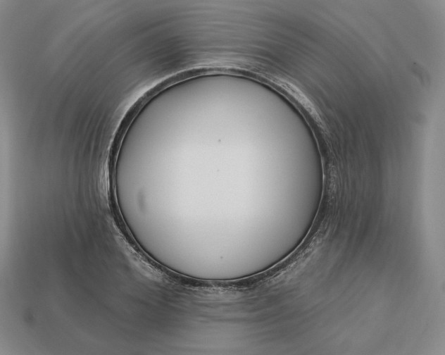 X0000113120980200909181645