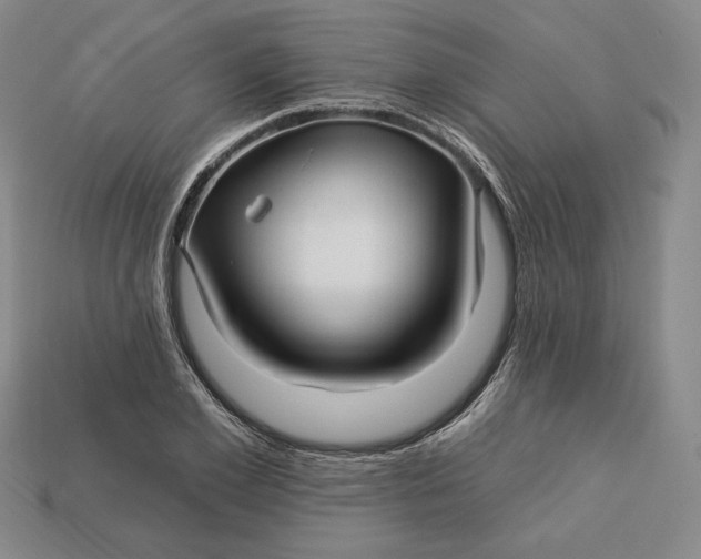 X0000113120981200909181645