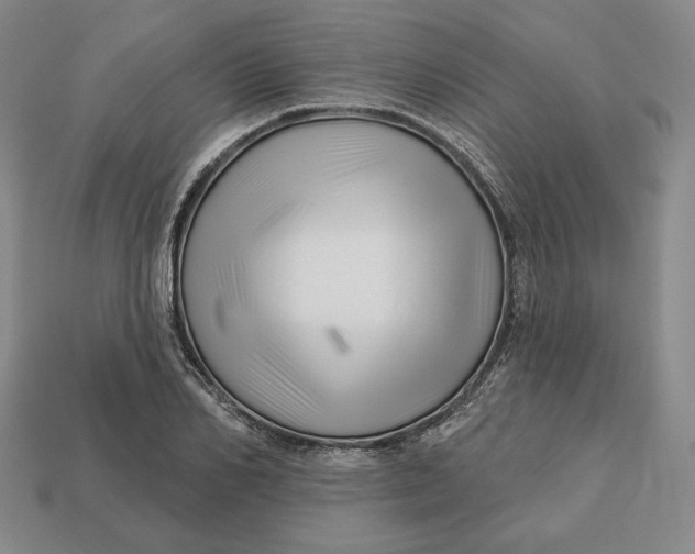 X0000113120982200909181645