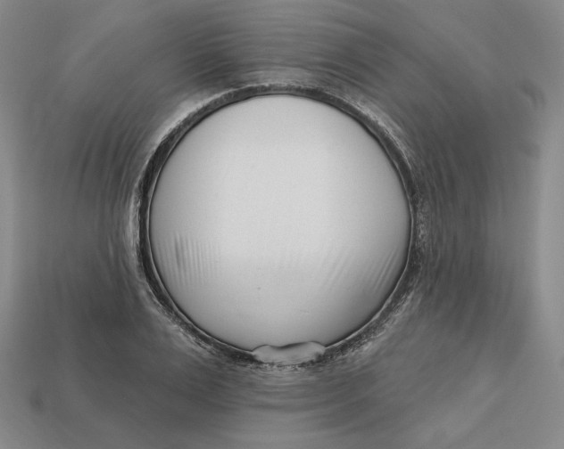 X0000113120983200909181645