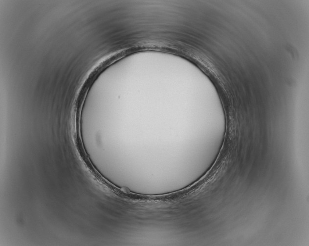 X0000113120984200909181645