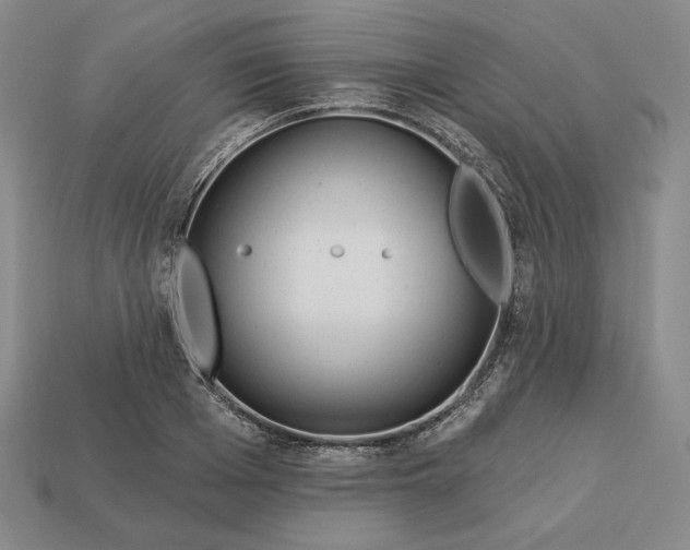 X0000113120985200909181645