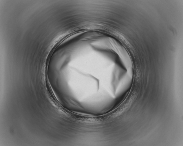 X0000113120986200909181645