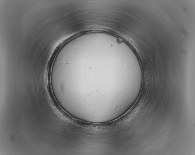 X0000113120987200909181645