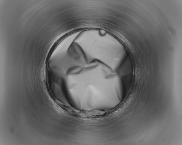 X0000113120988200909181645