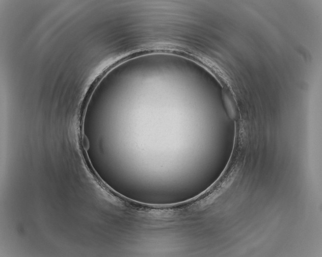 X0000113120989200909181645