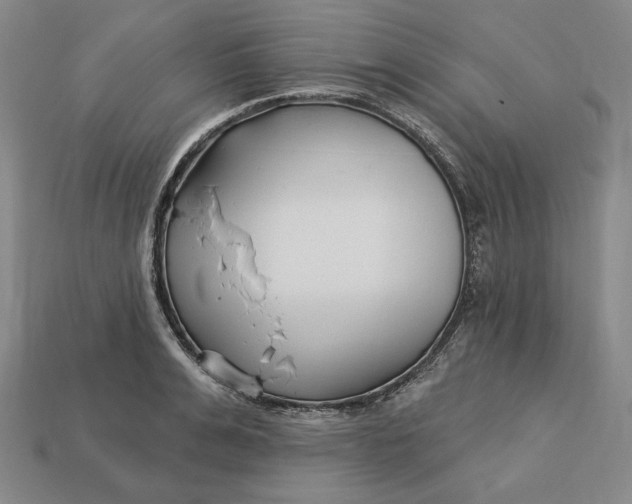 X0000113120991200909181645