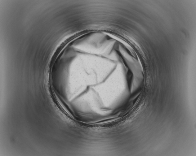 X0000113120992200909181645