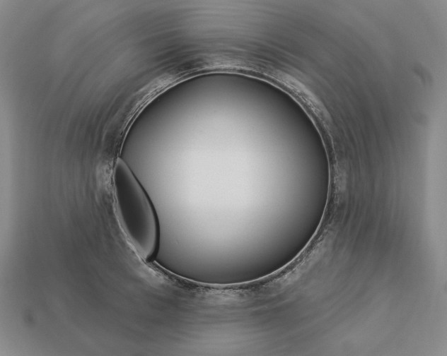 X0000113120993200909181645