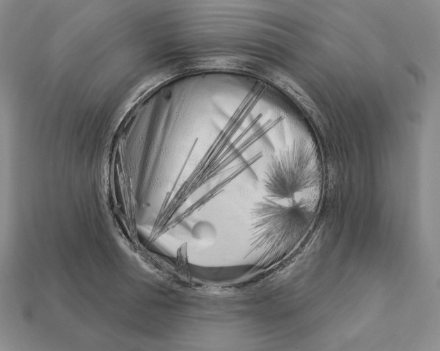 X0000113120994200909181645