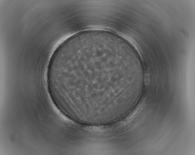 X0000113120995200909181645