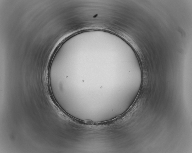 X0000113120996200909181645