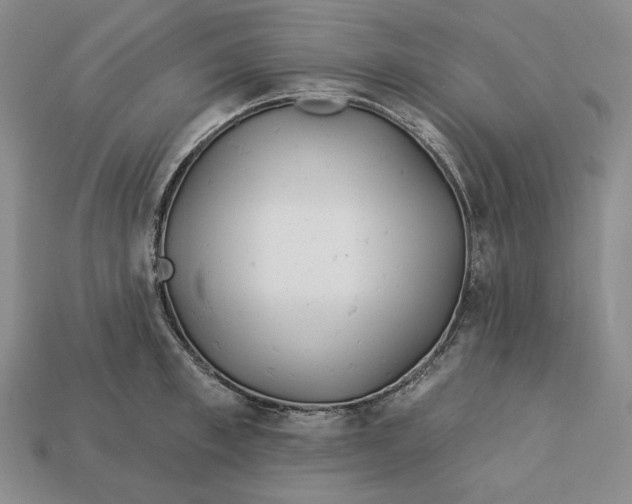 X0000113120997200909181645