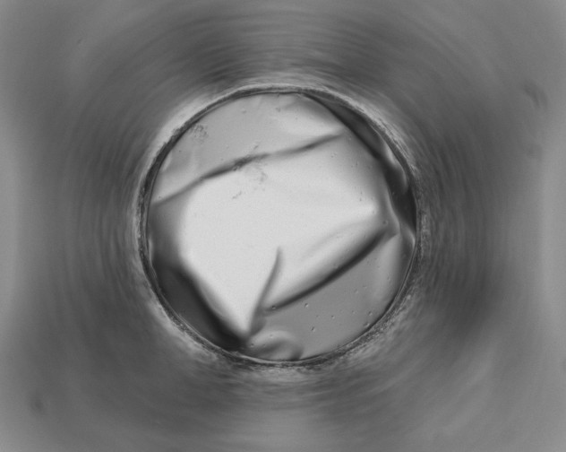 X0000113120998200909181645