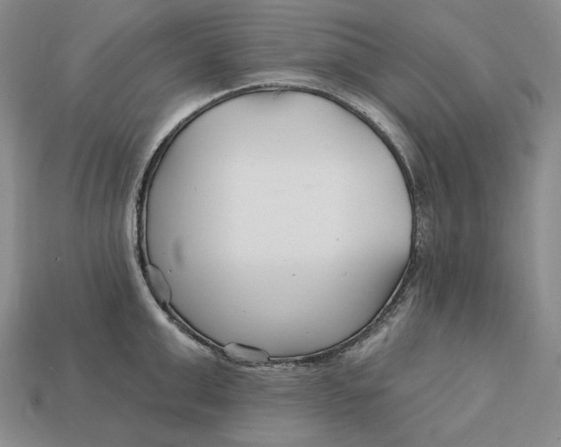 X0000113120999200909181645