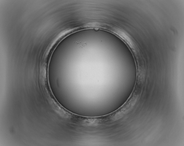 X0000113121000200909181645